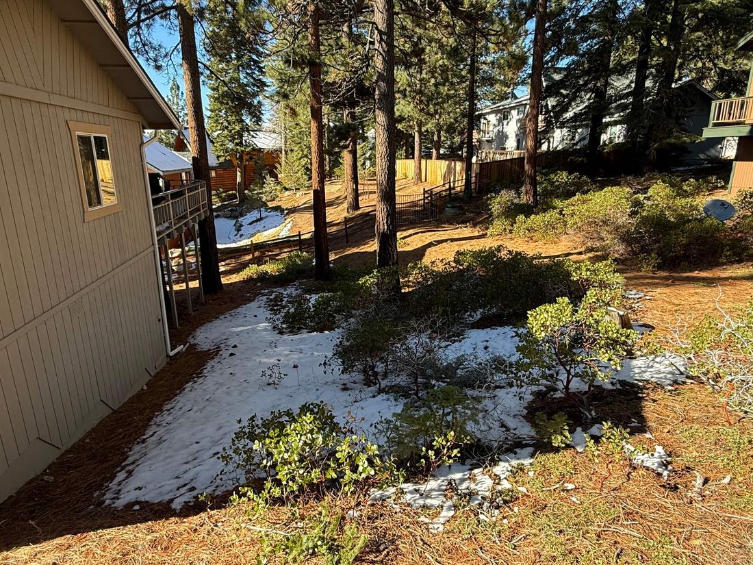 Backyard image 1